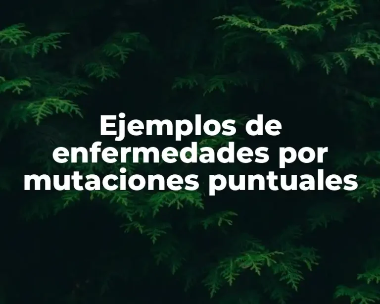 Ejemplos de enfermedades por mutaciones puntuales