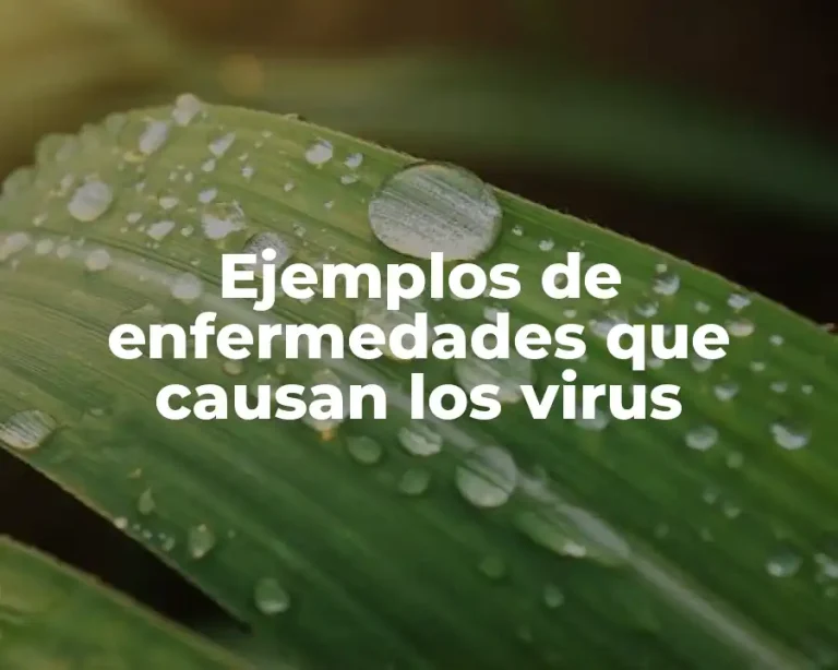 Ejemplos de enfermedades que causan los virus