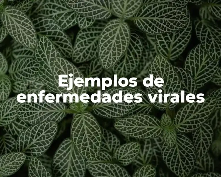 Ejemplos de enfermedades virales