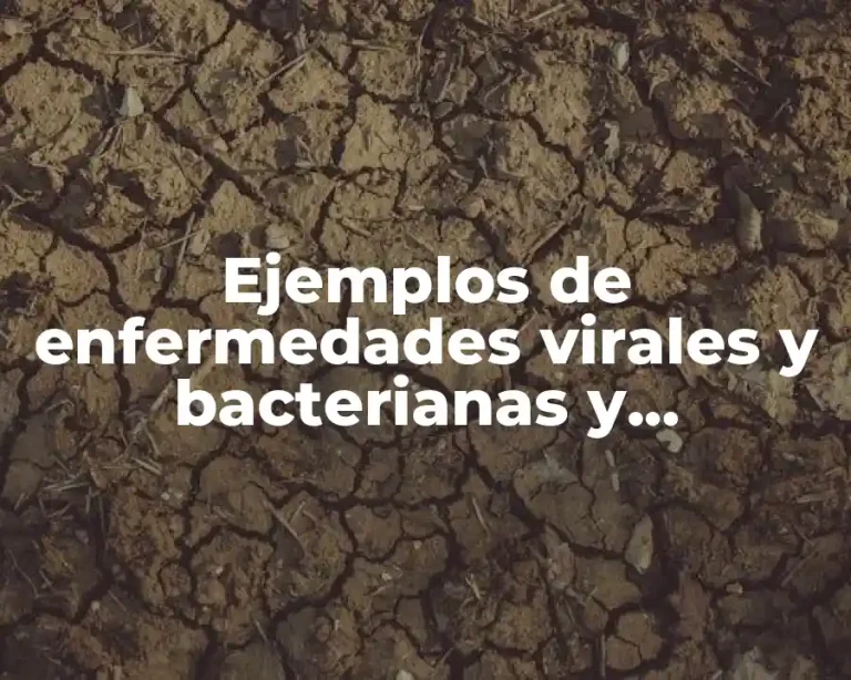 Ejemplos de enfermedades virales y bacterianas y Significado