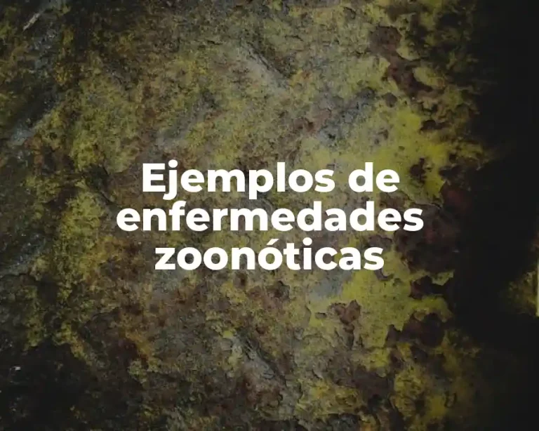 Ejemplos de enfermedades zoonóticas