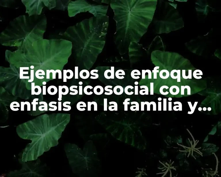 Ejemplos de enfoque biopsicosocial con enfasis en la familia y Significado