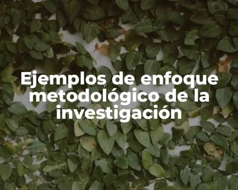 Ejemplos de enfoque metodológico de la investigación