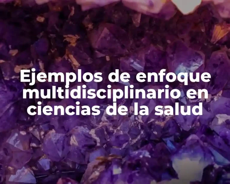 Ejemplos de enfoque multidisciplinario en ciencias de la salud