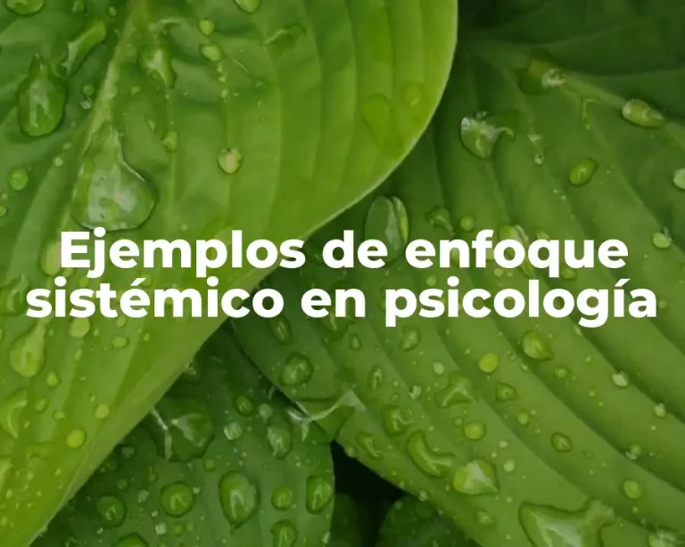 Ejemplos de enfoque sistémico en psicología