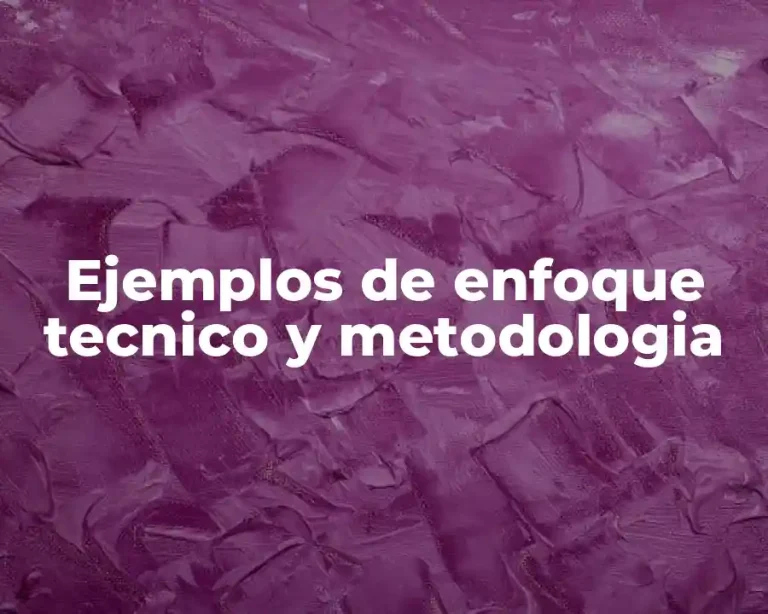 Ejemplos de enfoque tecnico y metodologia