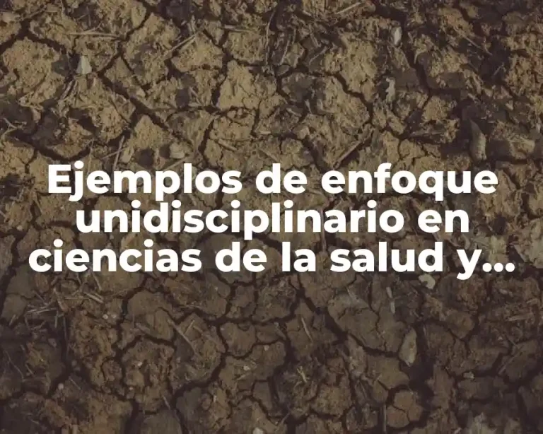 Ejemplos de enfoque unidisciplinario en ciencias de la salud y Significado