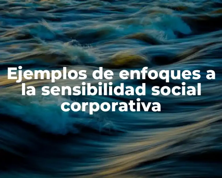 Ejemplos de enfoques a la sensibilidad social corporativa