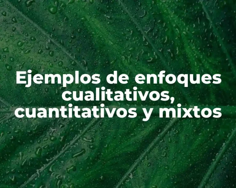 Ejemplos de enfoques cualitativos, cuantitativos y mixtos
