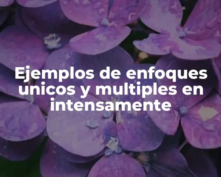 Ejemplos de enfoques unicos y multiples en intensamente