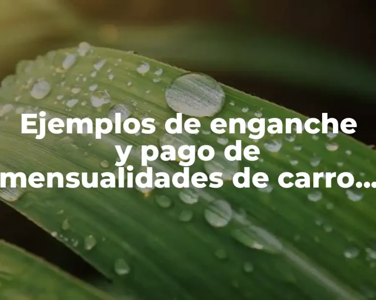 Ejemplos de enganche y pago de mensualidades de carro y Significado
