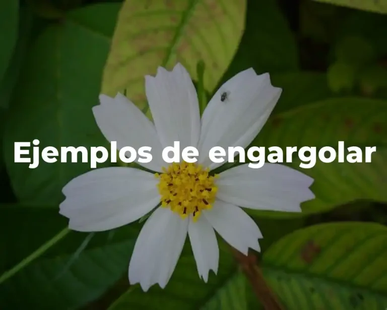 Ejemplos de engargolar