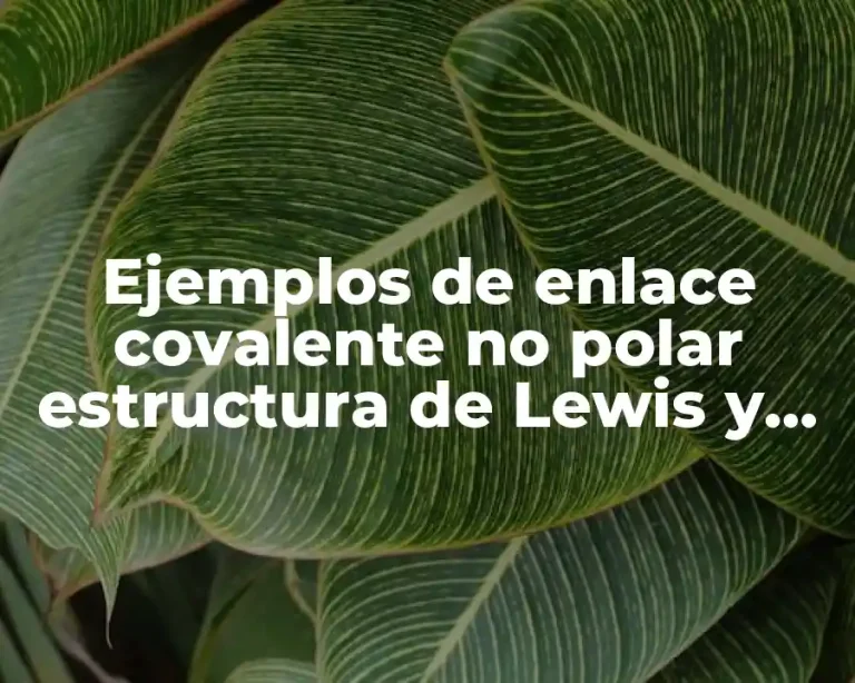 Ejemplos de enlace covalente no polar estructura de Lewis y Significado