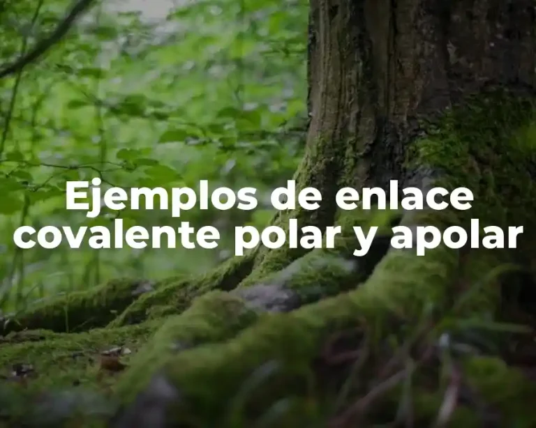 Ejemplos de enlace covalente polar y apolar