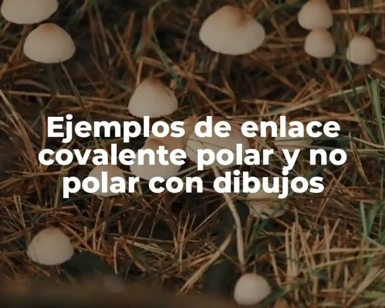 Ejemplos de enlace covalente polar y no polar con dibujos