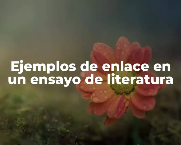 Ejemplos de enlace en un ensayo de literatura