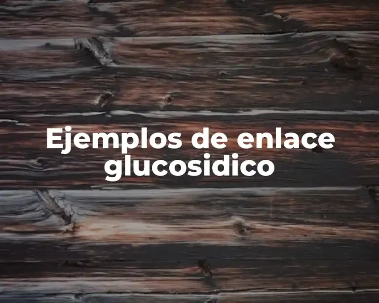 Ejemplos de enlace glucosidico