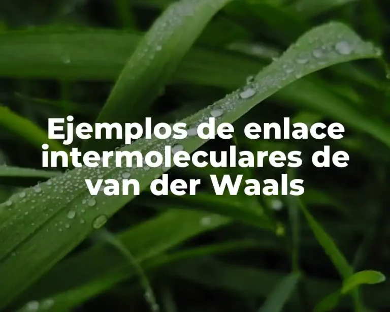 Ejemplos de enlace intermoleculares de van der Waals