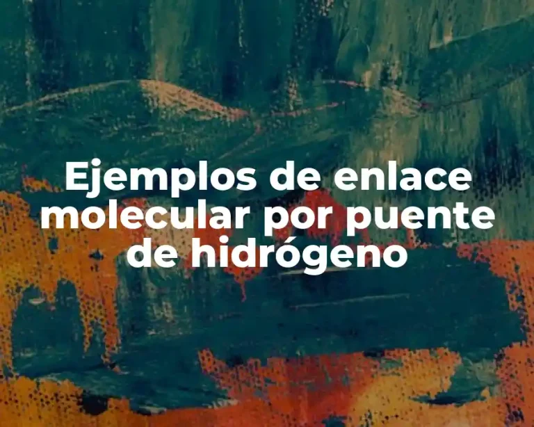 Ejemplos de enlace molecular por puente de hidrógeno