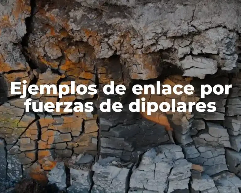 Ejemplos de enlace por fuerzas de dipolares