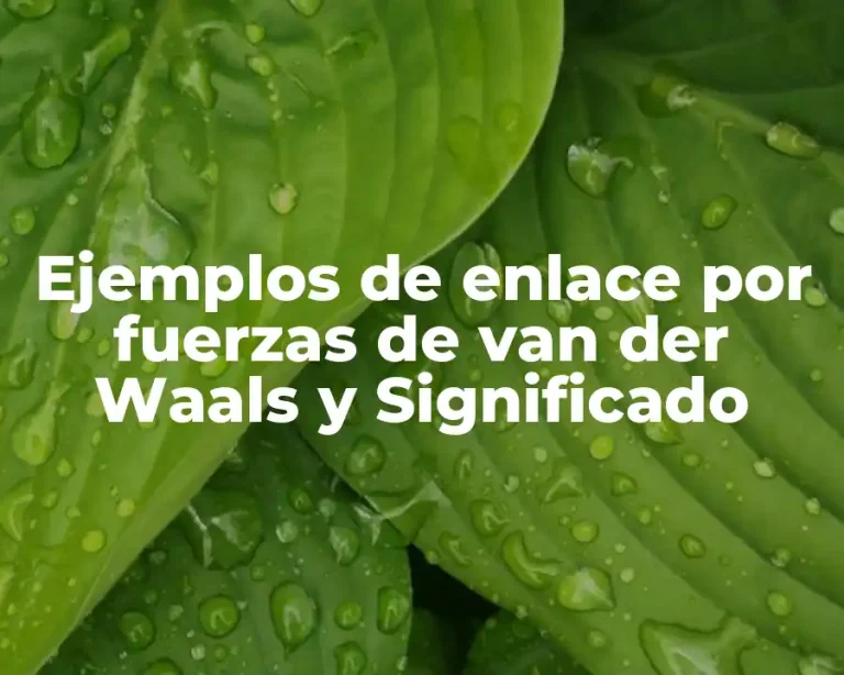 Ejemplos de enlace por fuerzas de van der Waals y Significado
