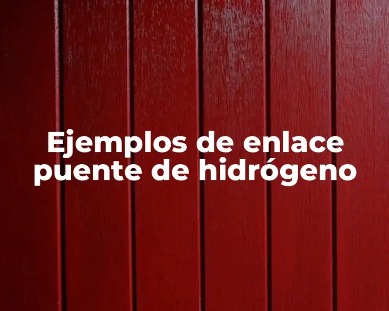 Ejemplos de enlace puente de hidrógeno