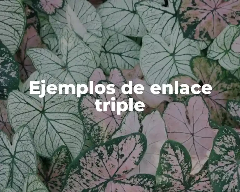 Ejemplos de enlace triple