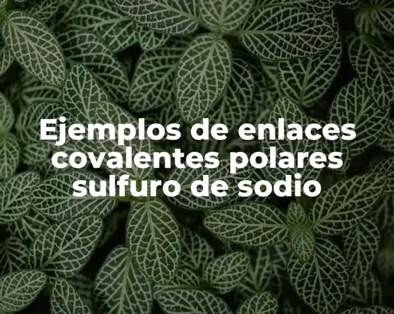 Ejemplos de enlaces covalentes polares sulfuro de sodio