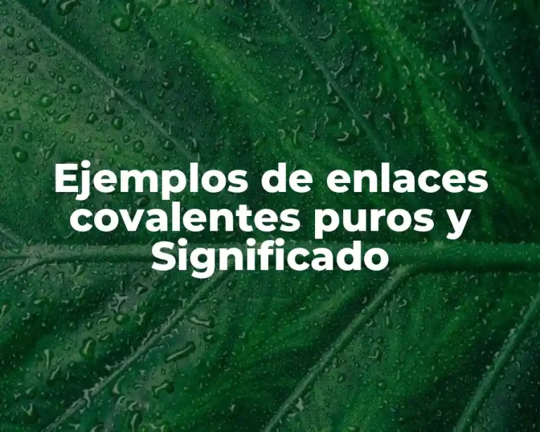 Ejemplos de enlaces covalentes puros y Significado