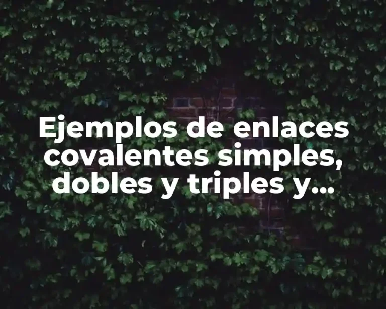 Ejemplos de enlaces covalentes simples, dobles y triples y Significado