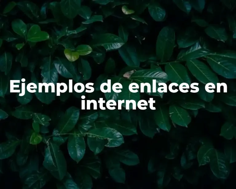 Ejemplos de enlaces en internet