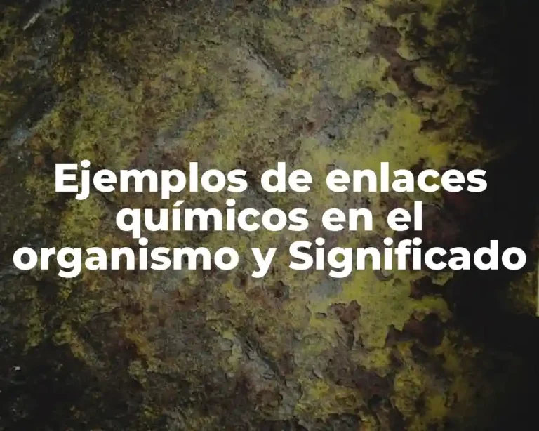 Ejemplos de enlaces químicos en el organismo y Significado