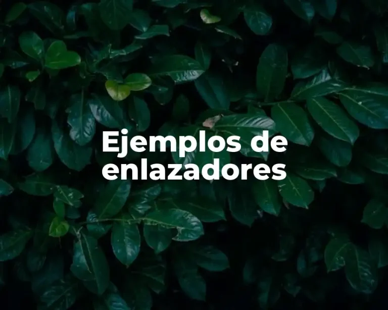 Ejemplos de enlazadores