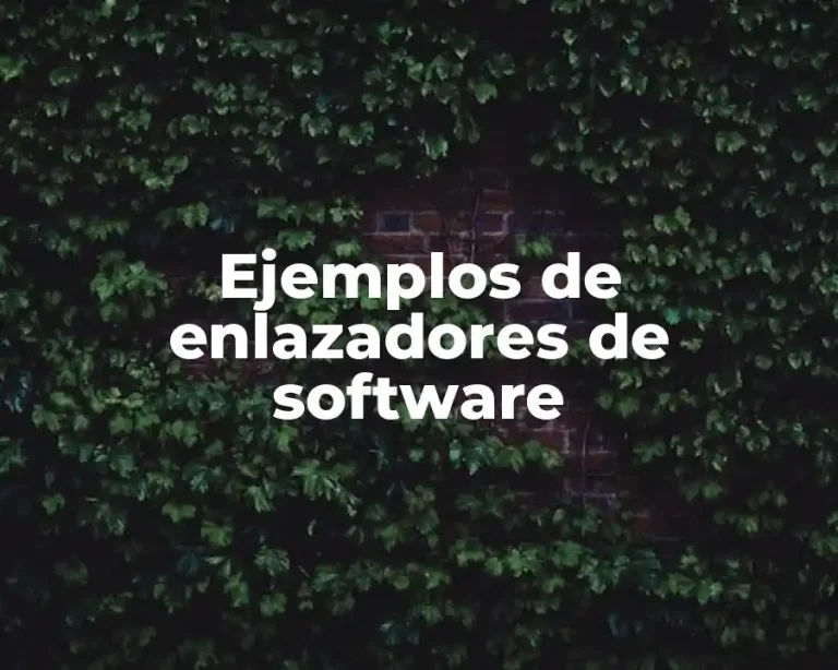 Ejemplos de enlazadores de software