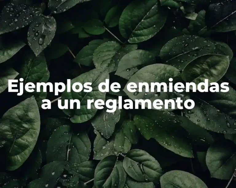 Ejemplos de enmiendas a un reglamento