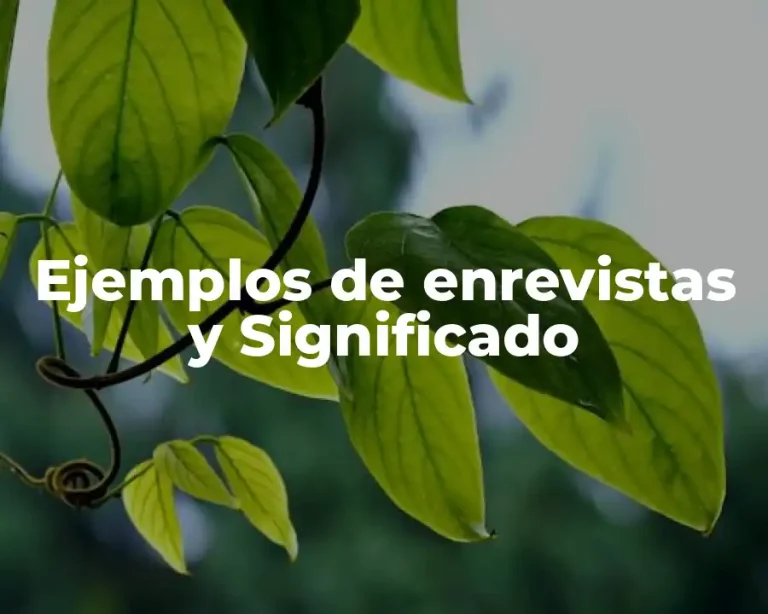 Ejemplos de enrevistas y Significado