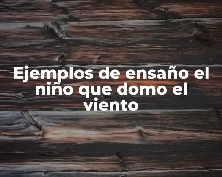 Ejemplos de ensaño el niño que domo el viento