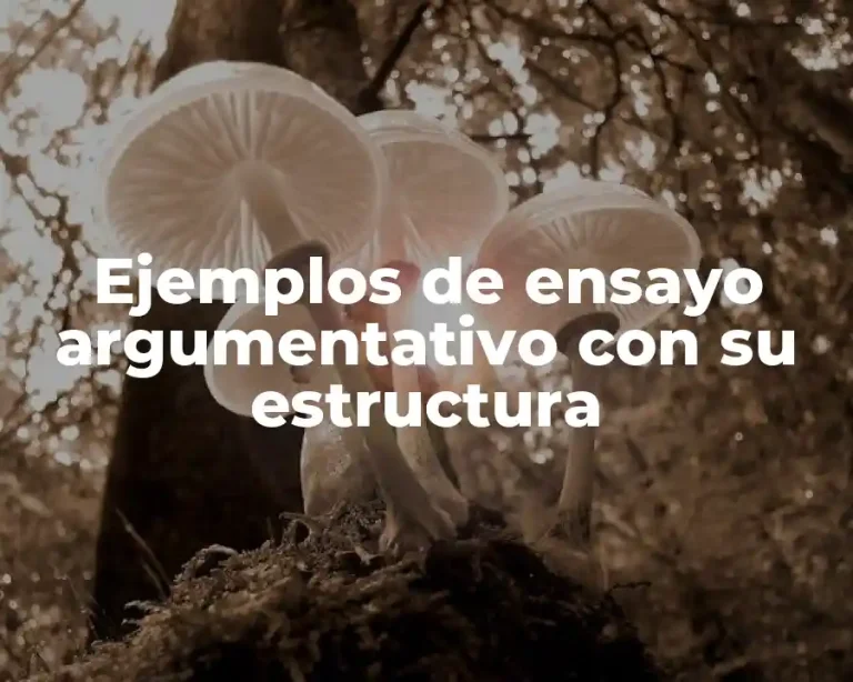 Ejemplos de ensayo argumentativo con su estructura