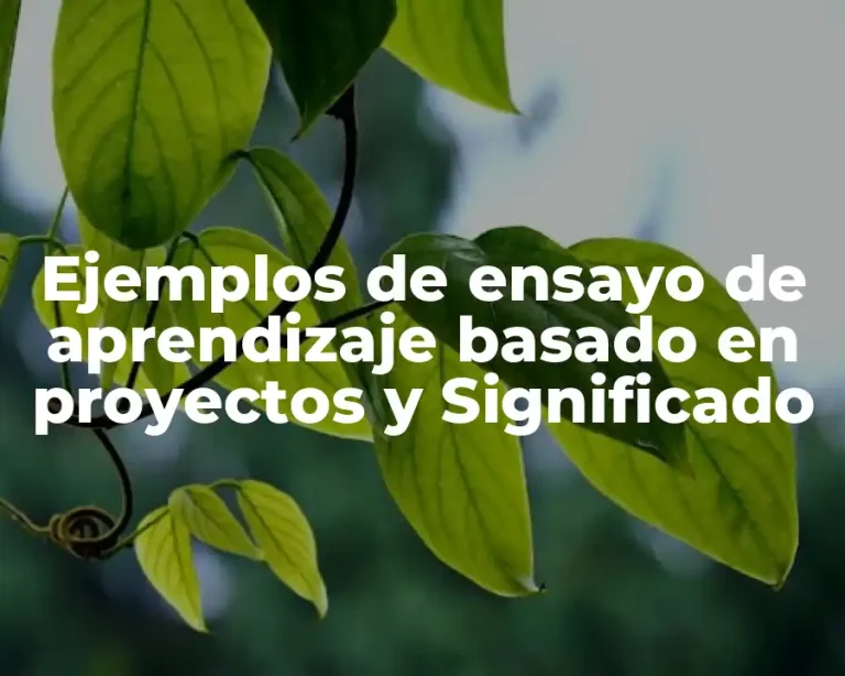 Ejemplos de ensayo de aprendizaje basado en proyectos y Significado