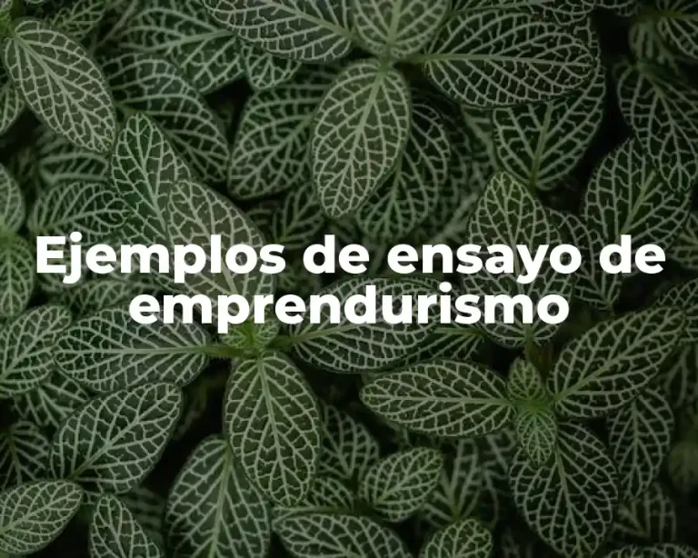 Ejemplos de ensayo de emprendurismo