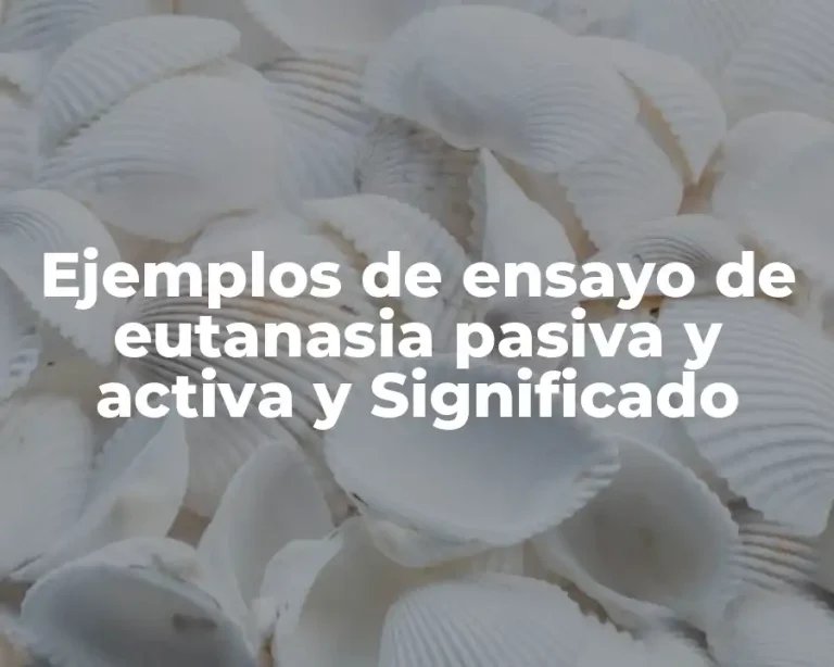 Ejemplos de ensayo de eutanasia pasiva y activa y Significado