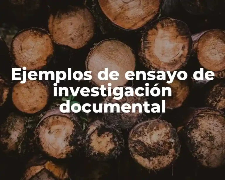 Ejemplos de ensayo de investigación documental