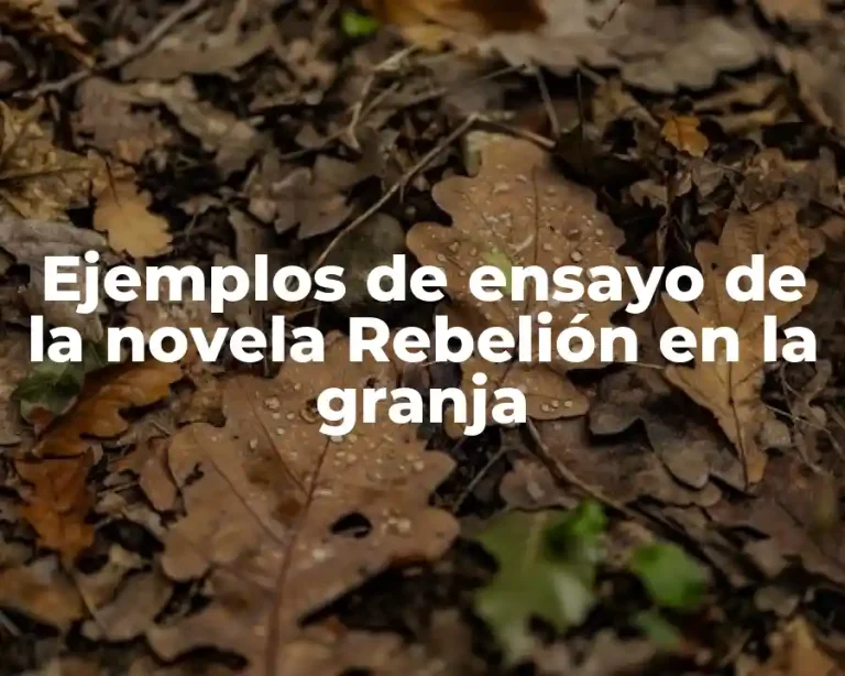 Ejemplos de ensayo de la novela Rebelión en la granja