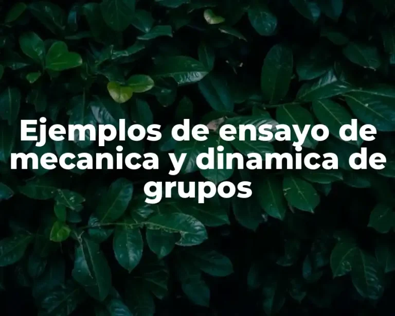 Ejemplos de ensayo de mecanica y dinamica de grupos