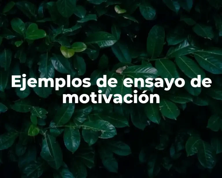 Ejemplos de ensayo de motivación