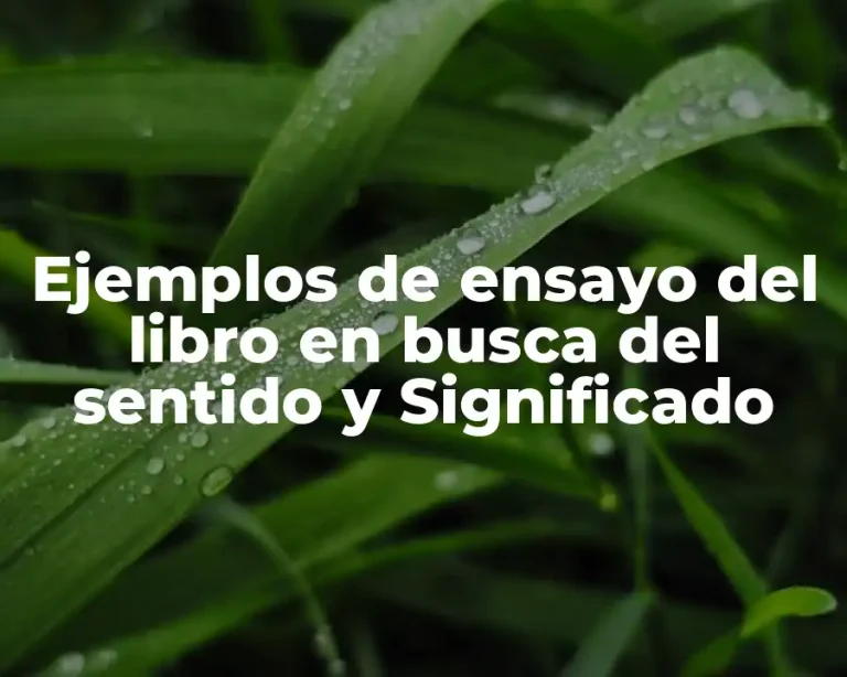 Ejemplos de ensayo del libro en busca del sentido y Significado