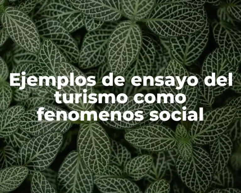 Ejemplos de ensayo del turismo como fenomenos social