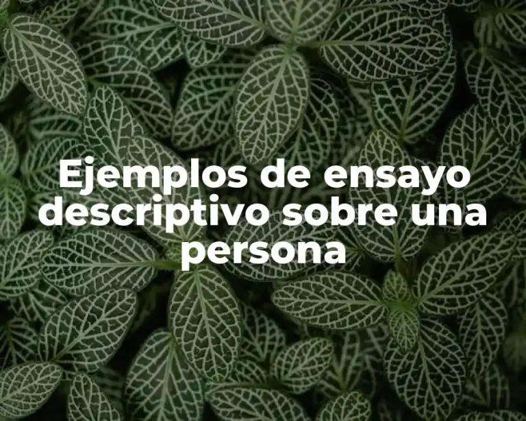 Ejemplos de ensayo descriptivo sobre una persona