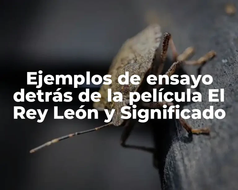 Ejemplos de ensayo detrás de la película El Rey León y Significado