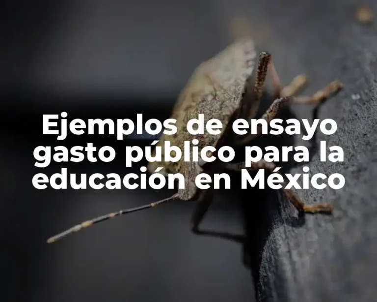 Ejemplos de ensayo gasto público para la educación en México